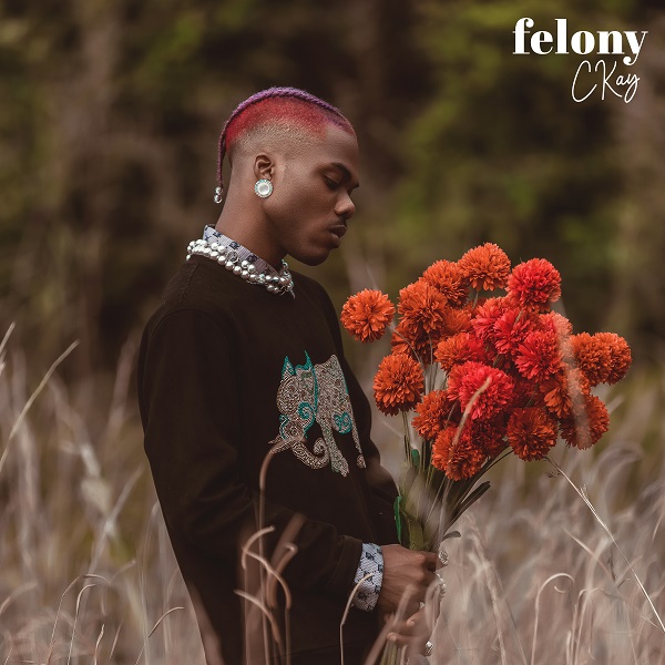 Felony || Lovelife.ng